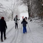 Beste Schneeverhältnisse für die Ski-AG der GGS Müllenbach