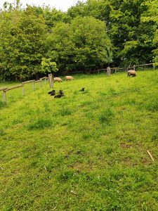 IMG_20260519_121417