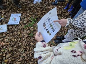Wald Naturmobil 1
